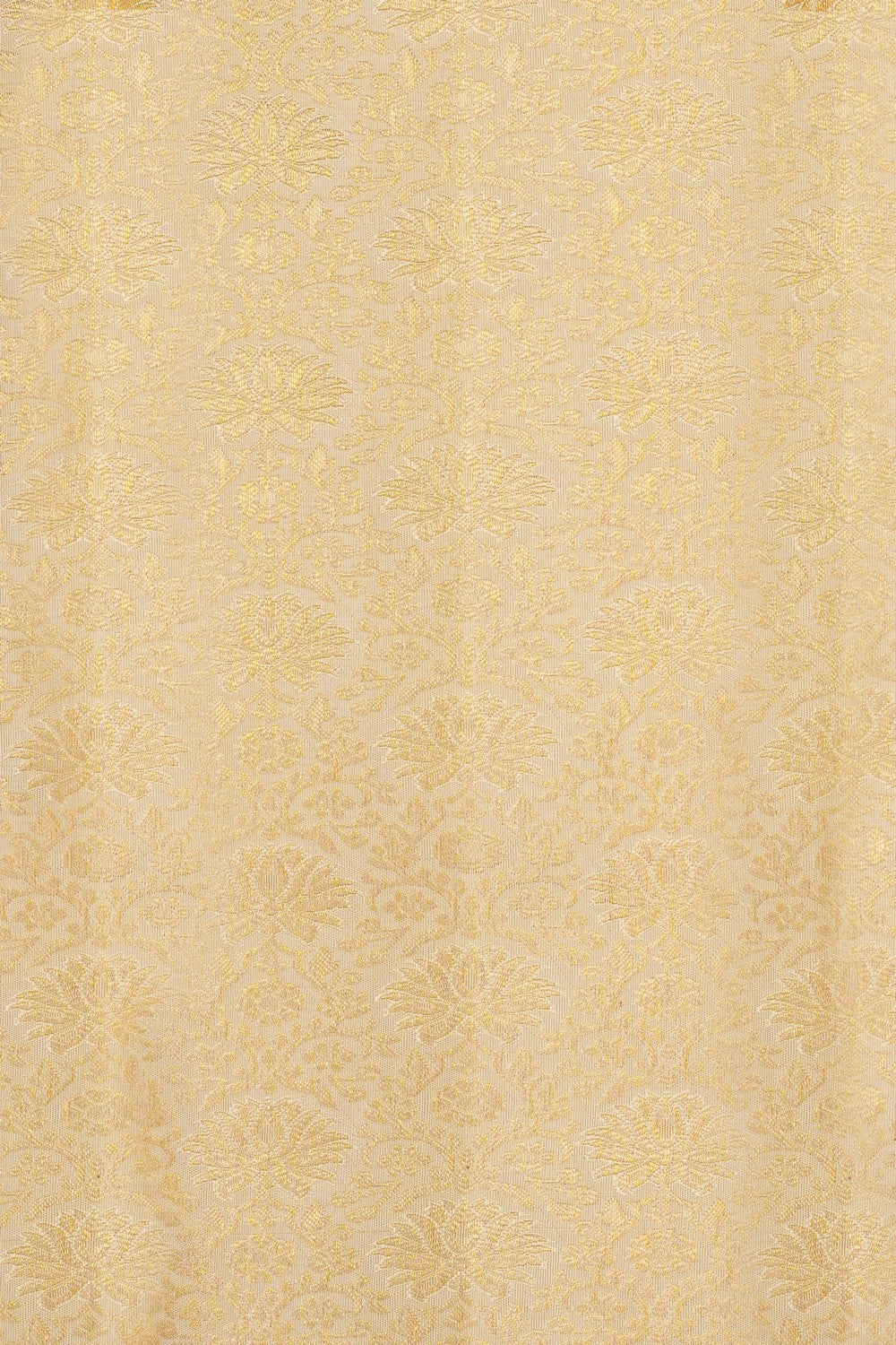 Image of Kanchipattu Brocade An Ethereal Off-White Saree