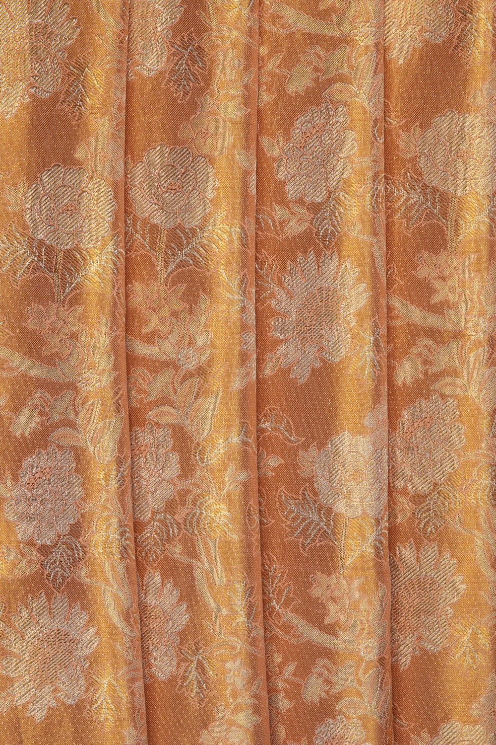 Image of Gold Kanchipattu Tissue Brocade Saree