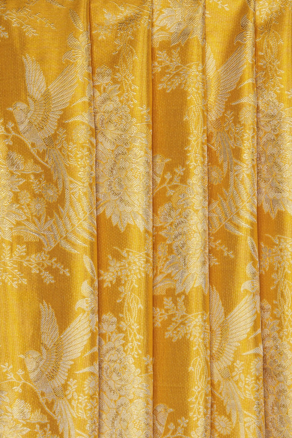 Image of Gold Kanchipattu Tissue Brocade Saree