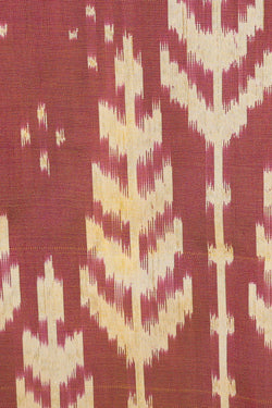 Image of Ikat Silk Light Brown Saree