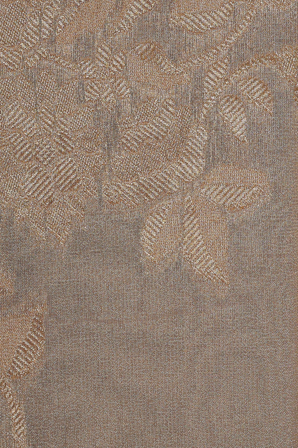 Image of Banarasi Tissue Organza Silver Saree