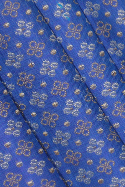 Image of Kanchipattu Blue Brocade Saree