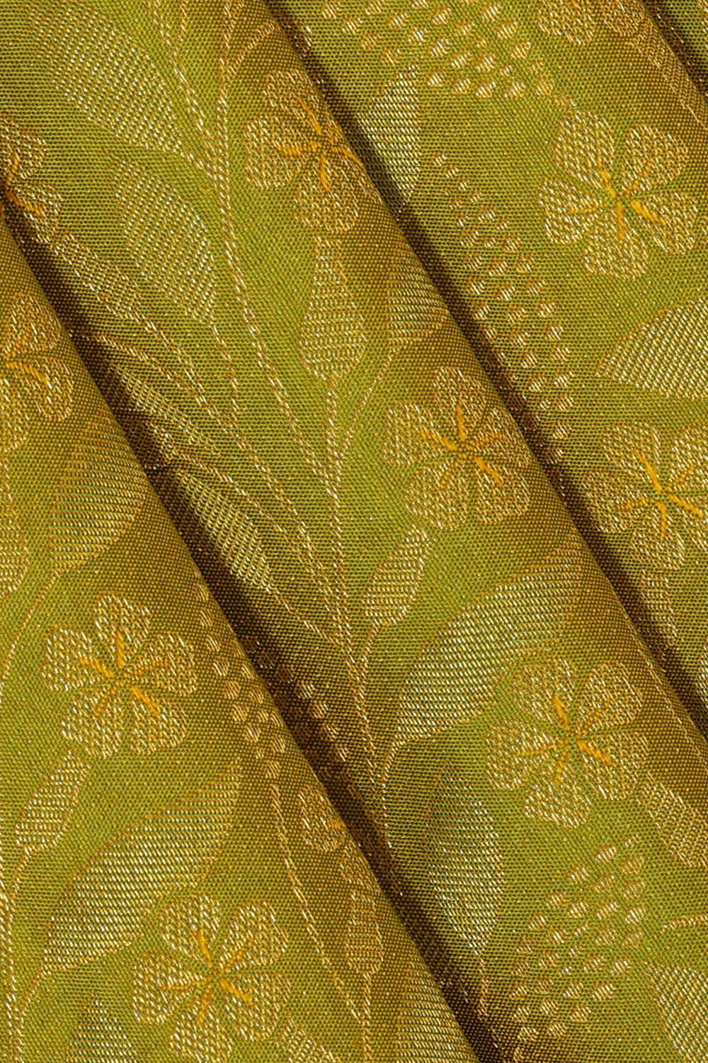 Kanchipattu Golden Green Brocade Saree