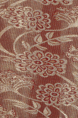 Image of Kanchipattu Brown Tissue Brocade Saree