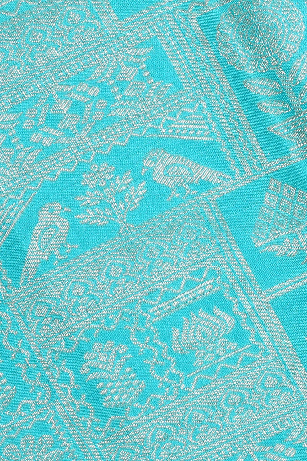 Image of Kanchipattu Sky Blue Brocade Saree