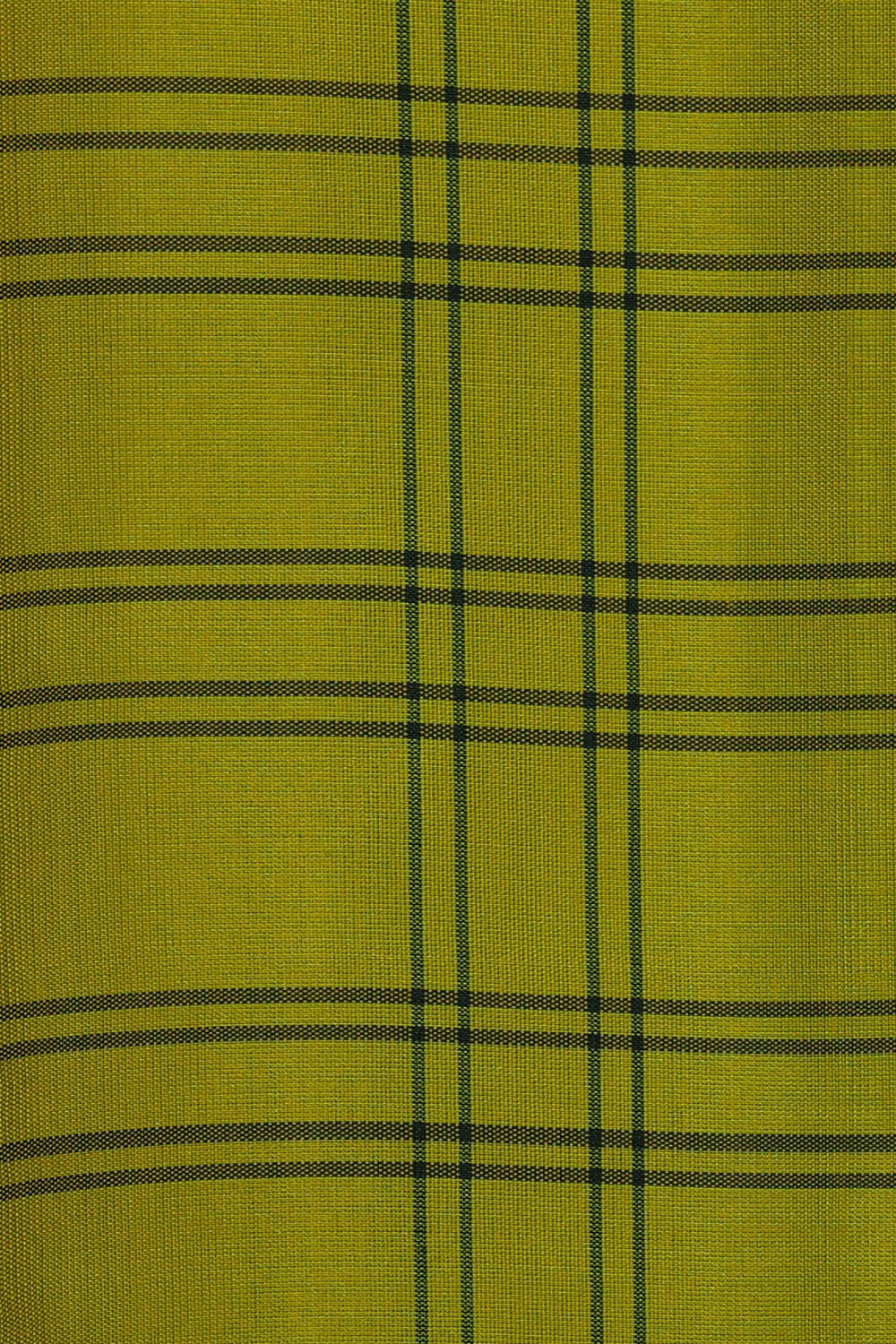 Kanchipattu Parrot Green Brocade Saree