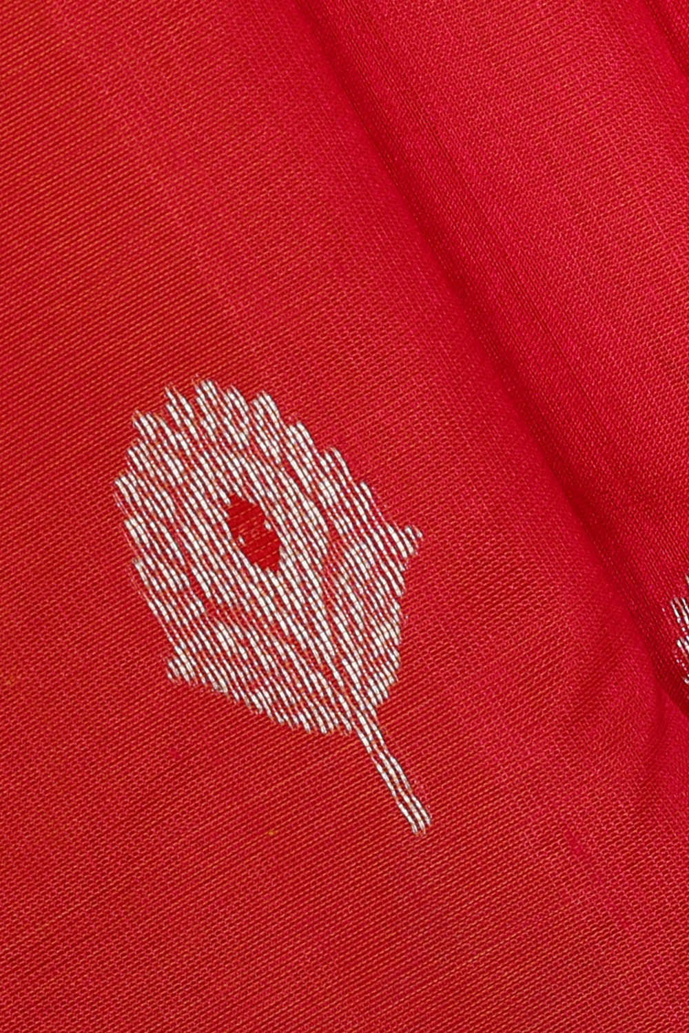 Chanderi Silk Cream Saree