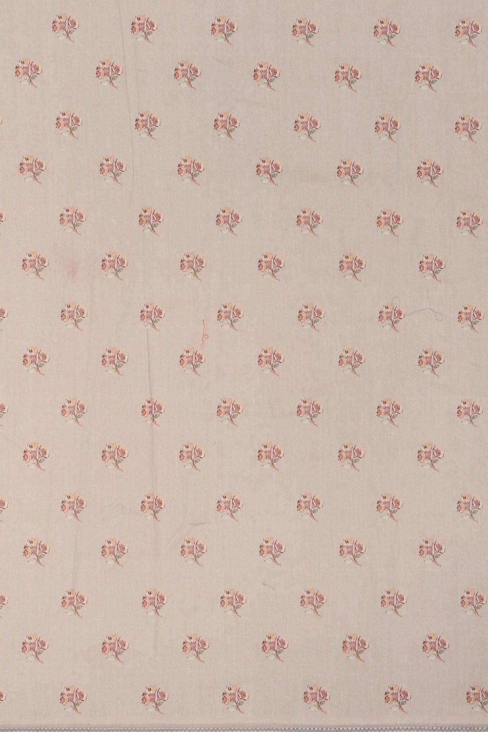 Image of Banarasi Organza Grey Saree