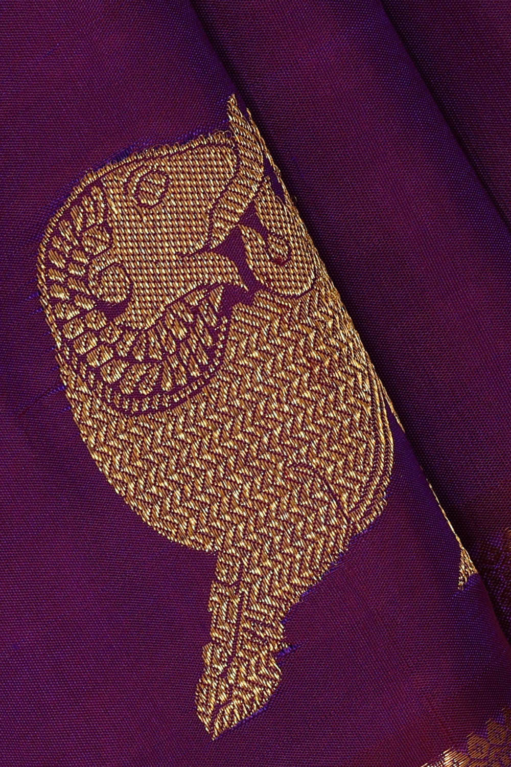 Image of Kanchipattu Magenta Purple Brocade Saree