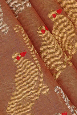 Image of Chanderi Silk Dark Cream Saree