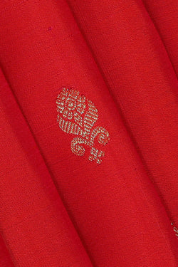 Image of Kanchipattu Red Brocade Saree