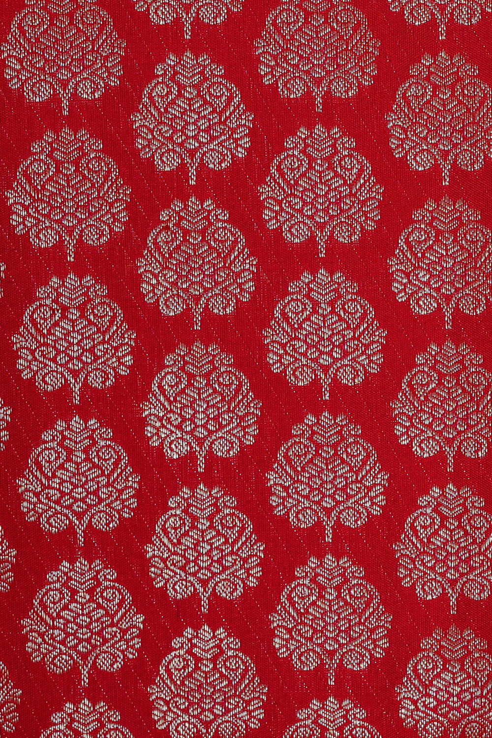 Image of Kanchipattu Red Brocade Saree