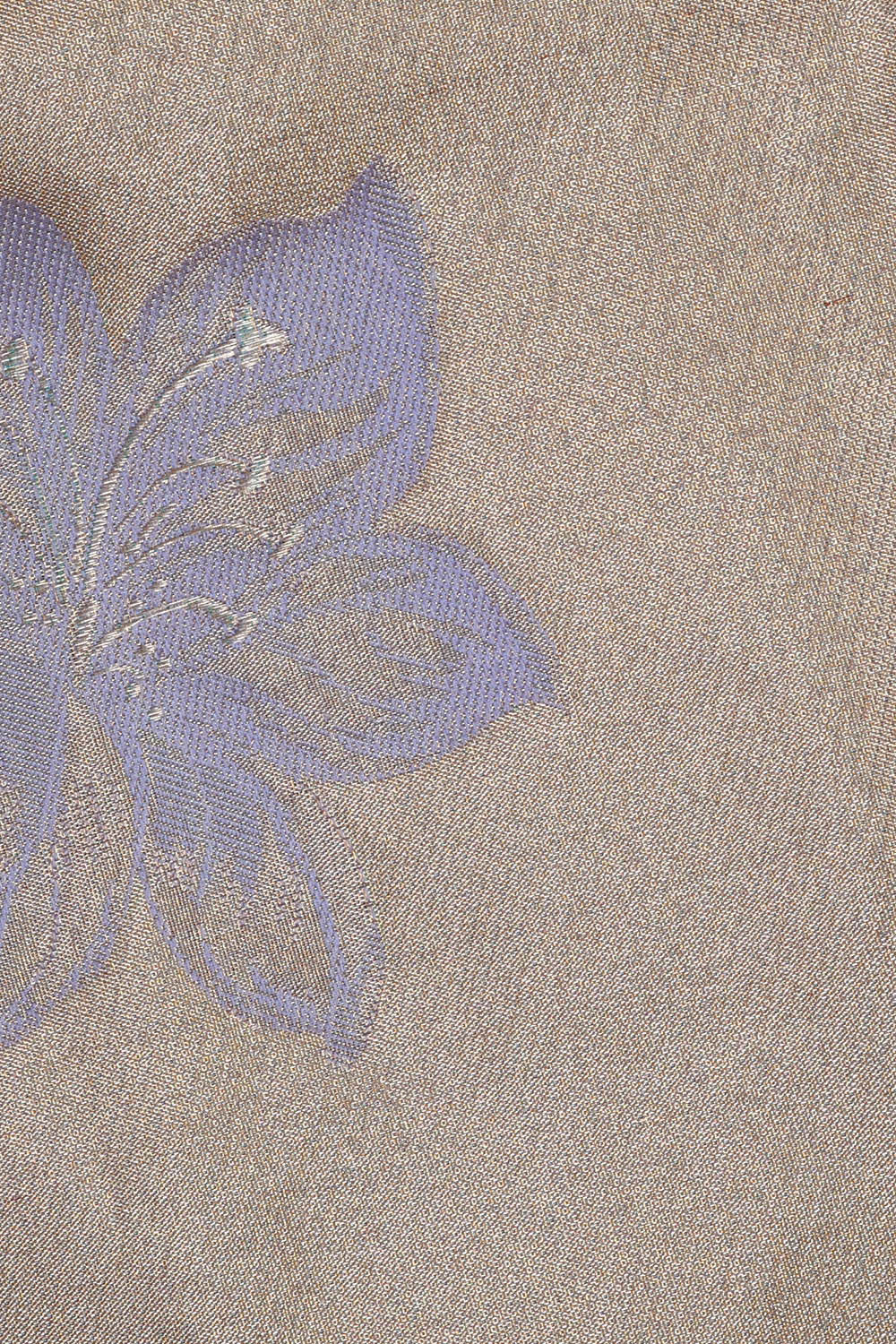 Image of Kanchipattu Gold Tissue Brocade Saree