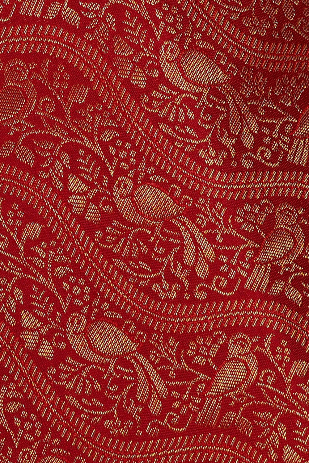 Image of Kanchipattu Red Brocade Saree