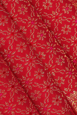 Image of Kanchipattu Red Brocade Saree
