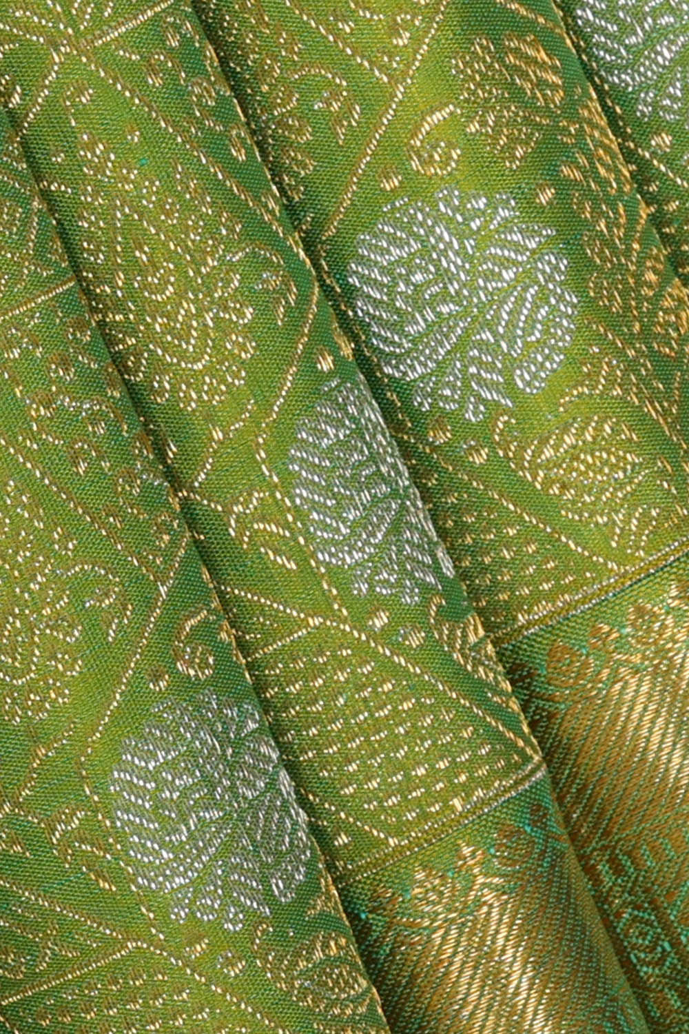 Kanchipattu Parrot Green Brocade Saree