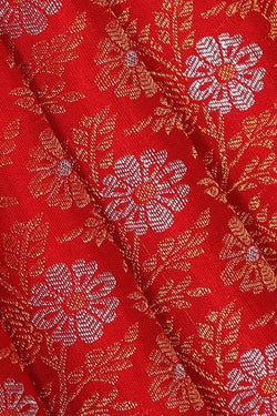 Image of Kanchipattu Red Brocade Saree