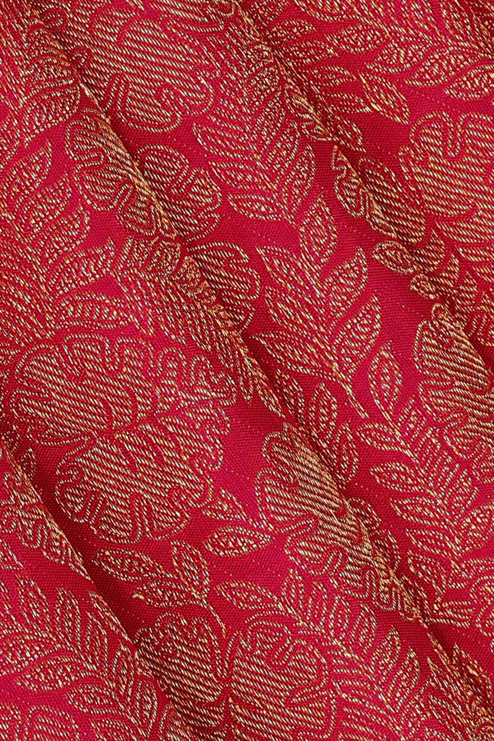 Image of Kanchipattu Rani Pink Brocade Saree