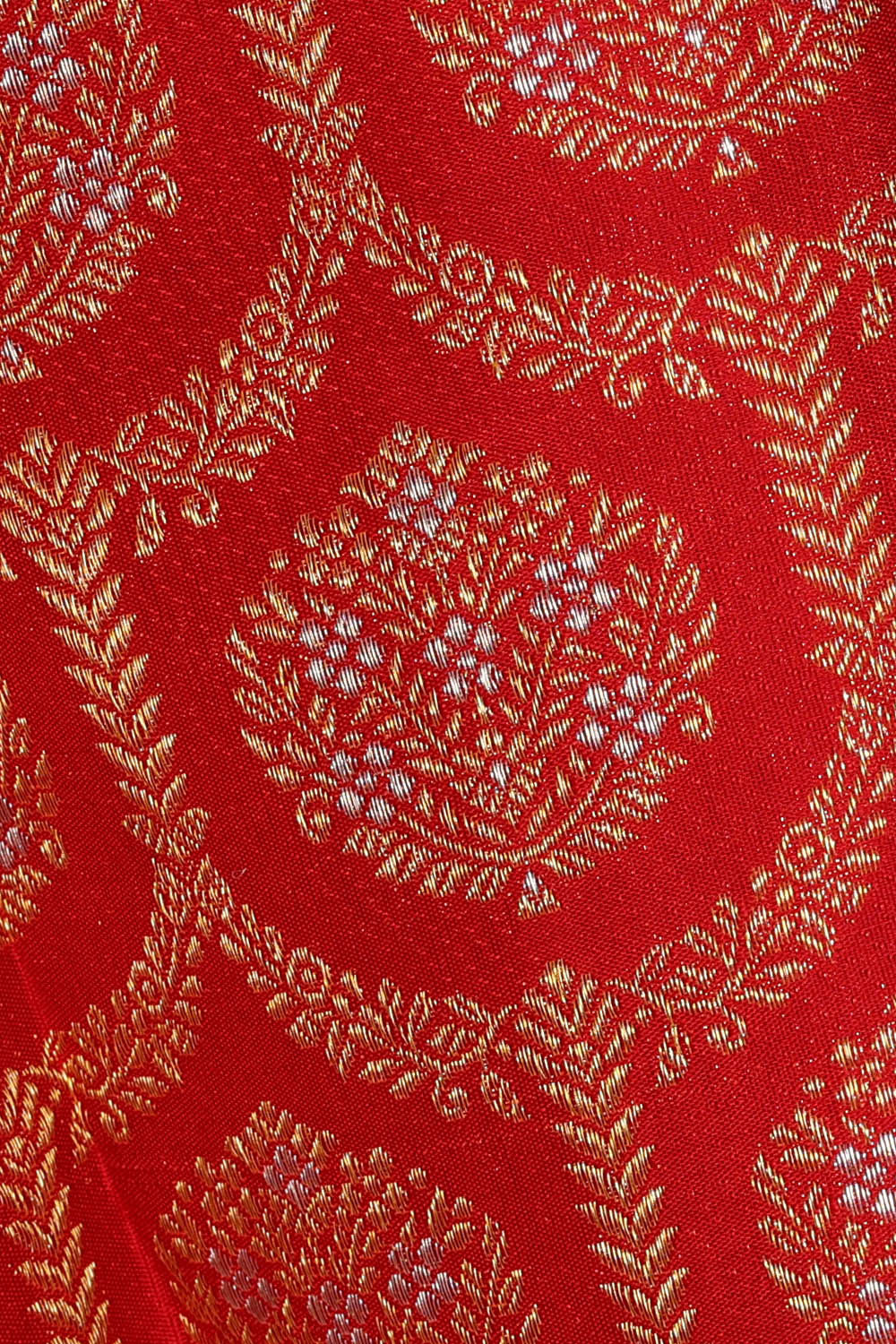 Image of Kanchipattu Red Brocade Saree