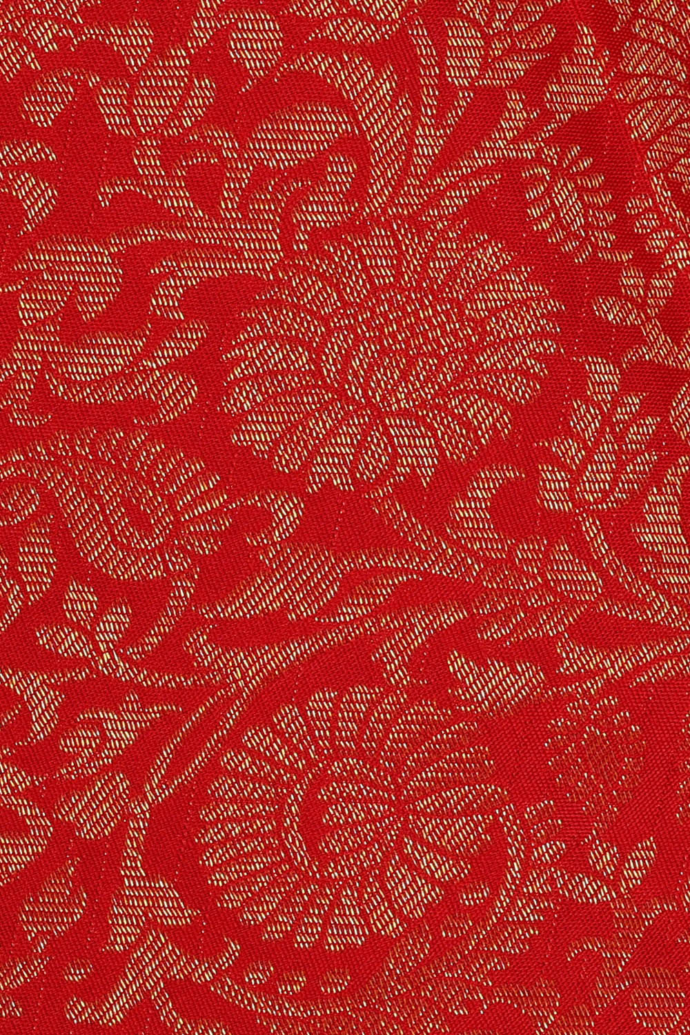 Image of Kanchipattu Red Brocade Saree