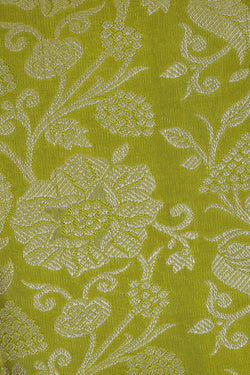 Image of Kanchipattu Parrot Green Brocade Saree