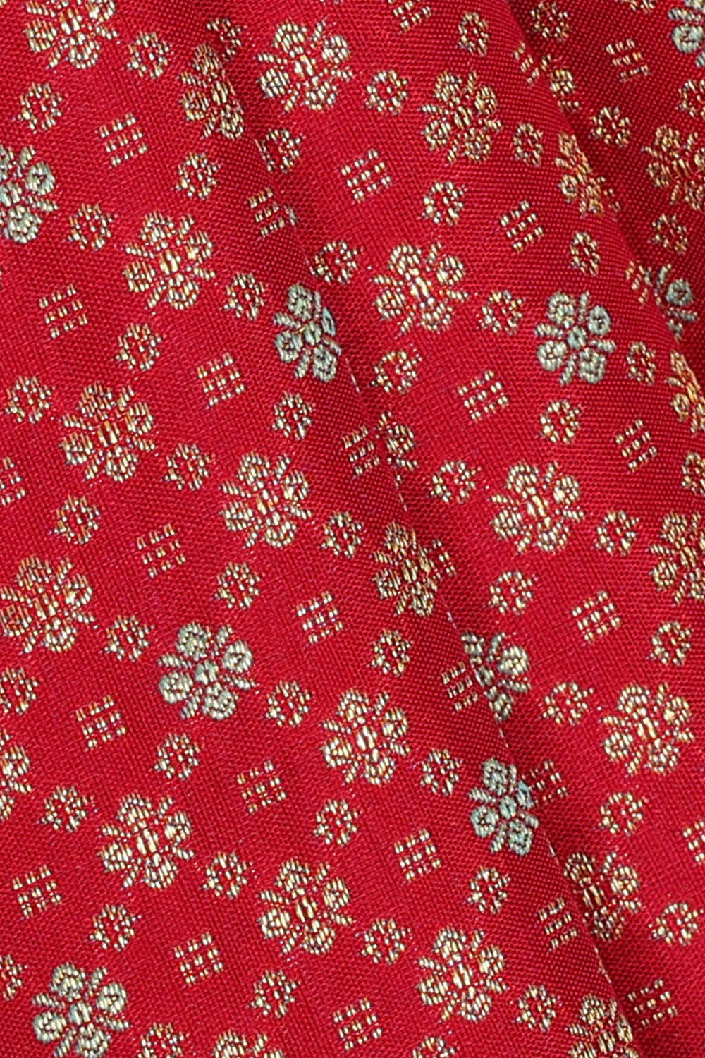 Image of Kanchipattu Red Brocade Saree