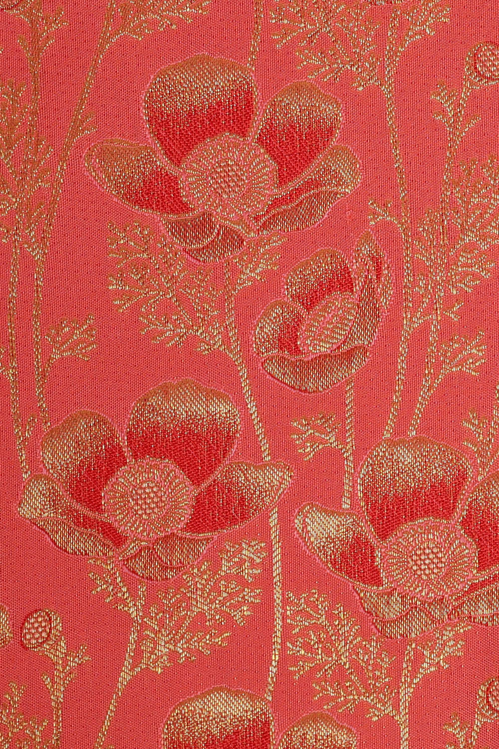 Image of Kanchipattu Peach Brocade Saree