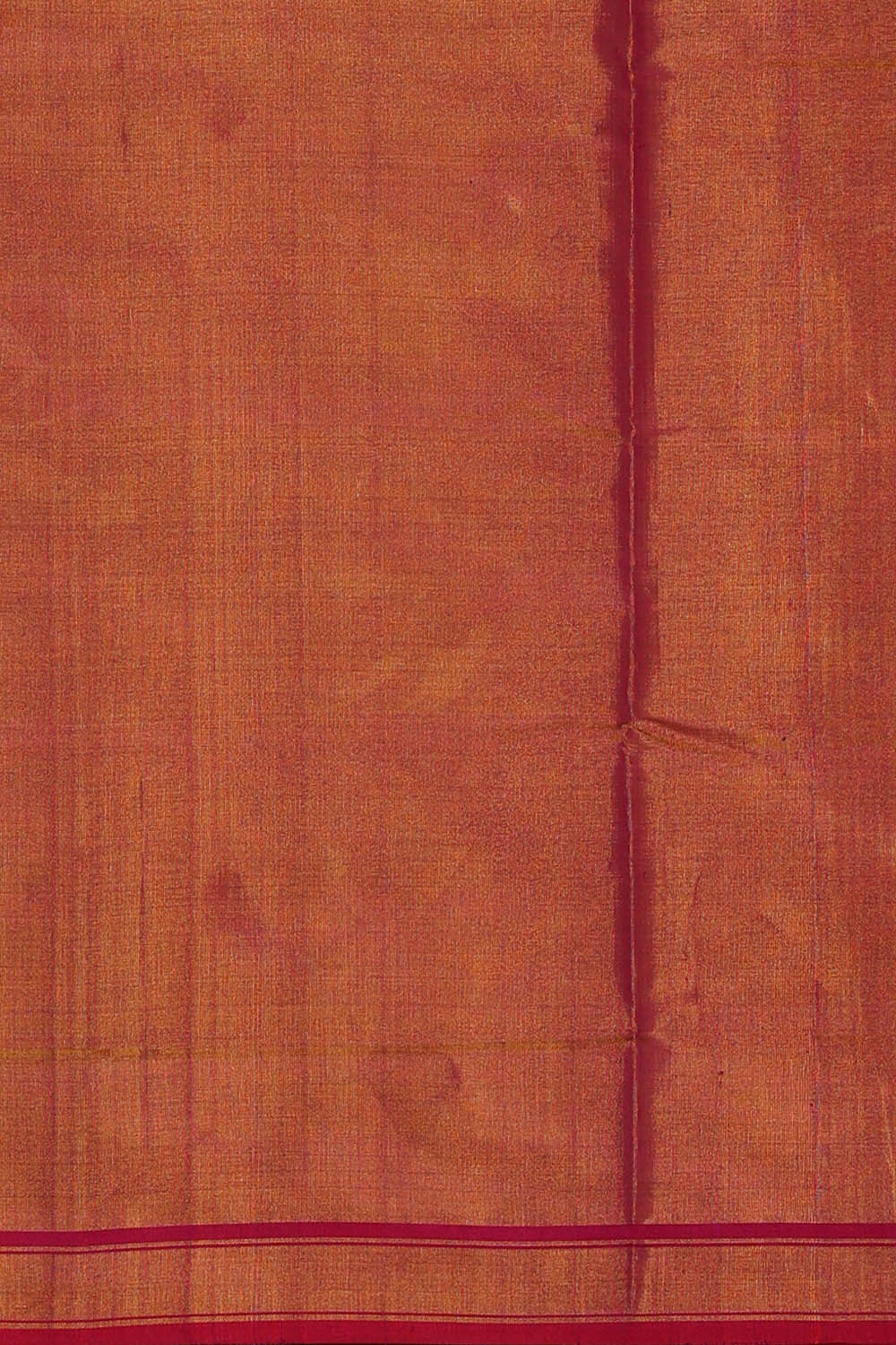 Image of Rajkot Patola Tissue Green Saree