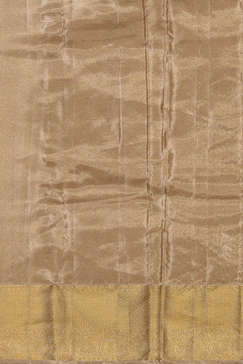 Image of Kanchipattu Light Sea Green Tissue Brocade Saree