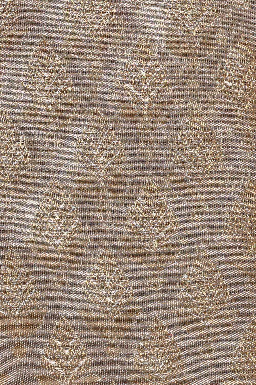 Kanchipattu Silvery Gold Brocade Saree