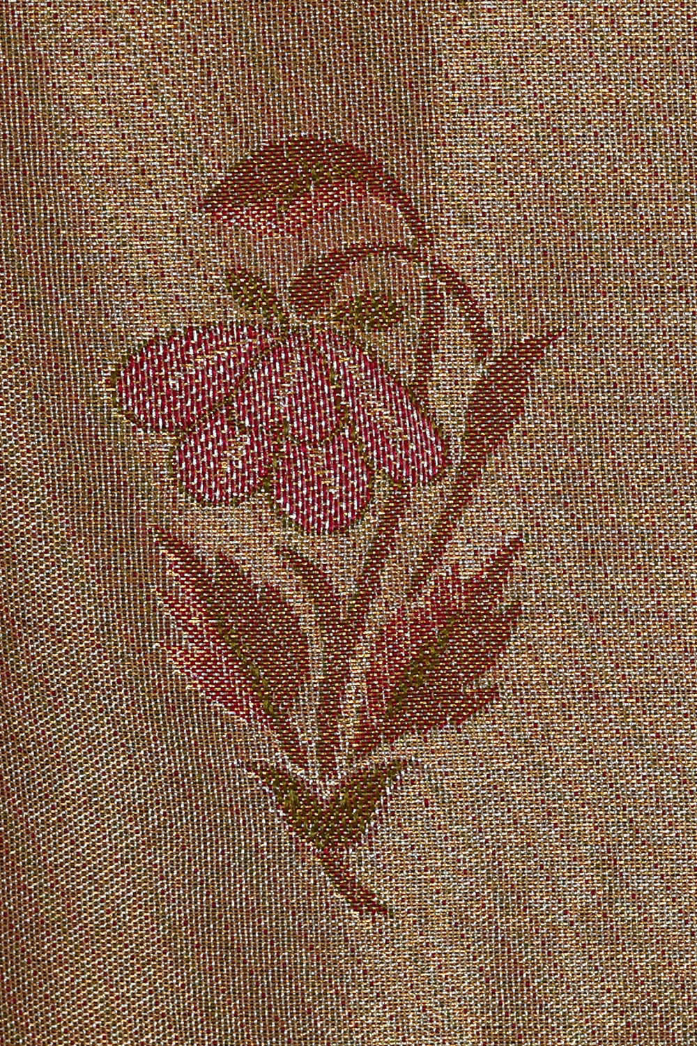 Image of Kanchipattu Gold Brocade Saree