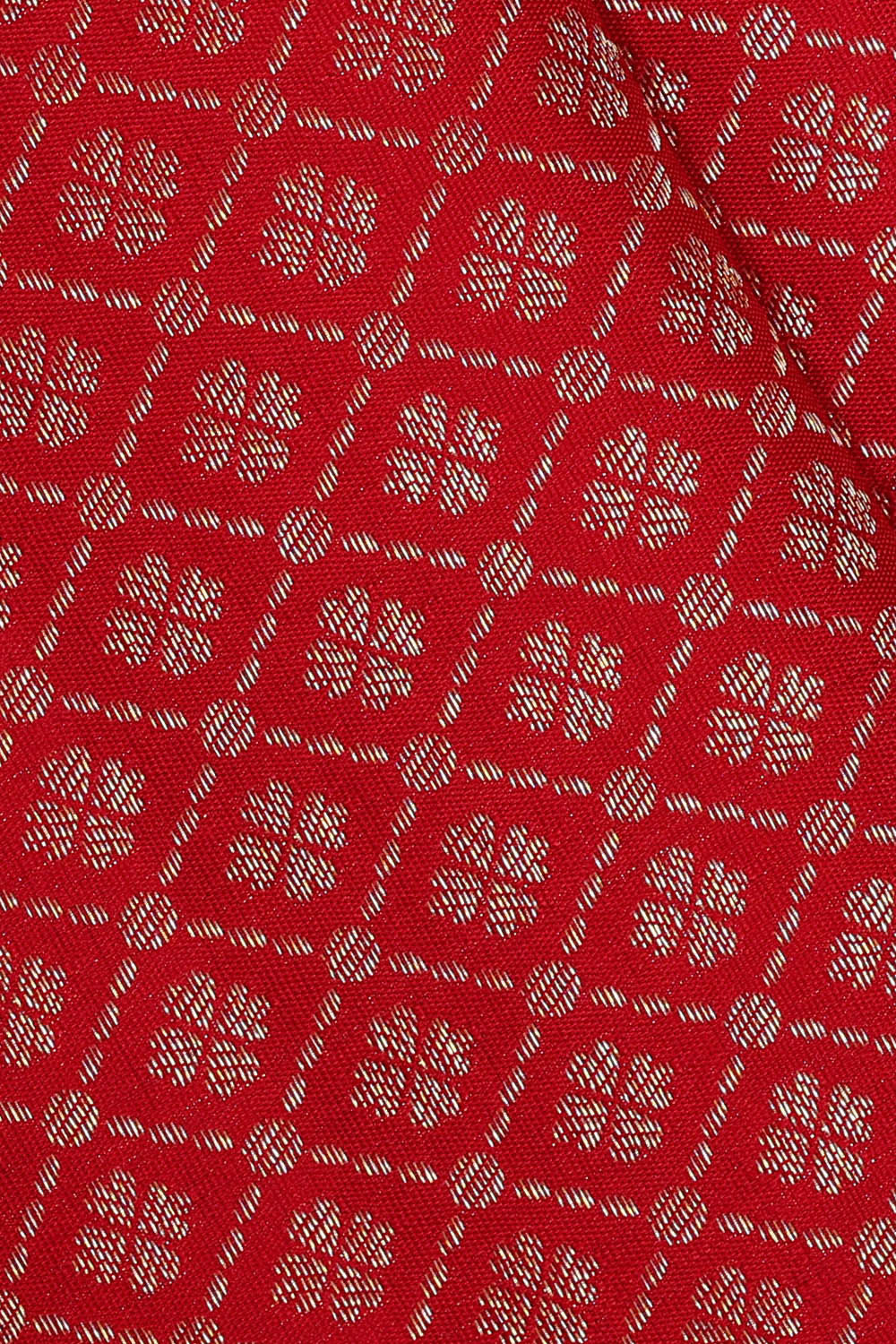 Image of Kanchipattu Red Brocade Saree