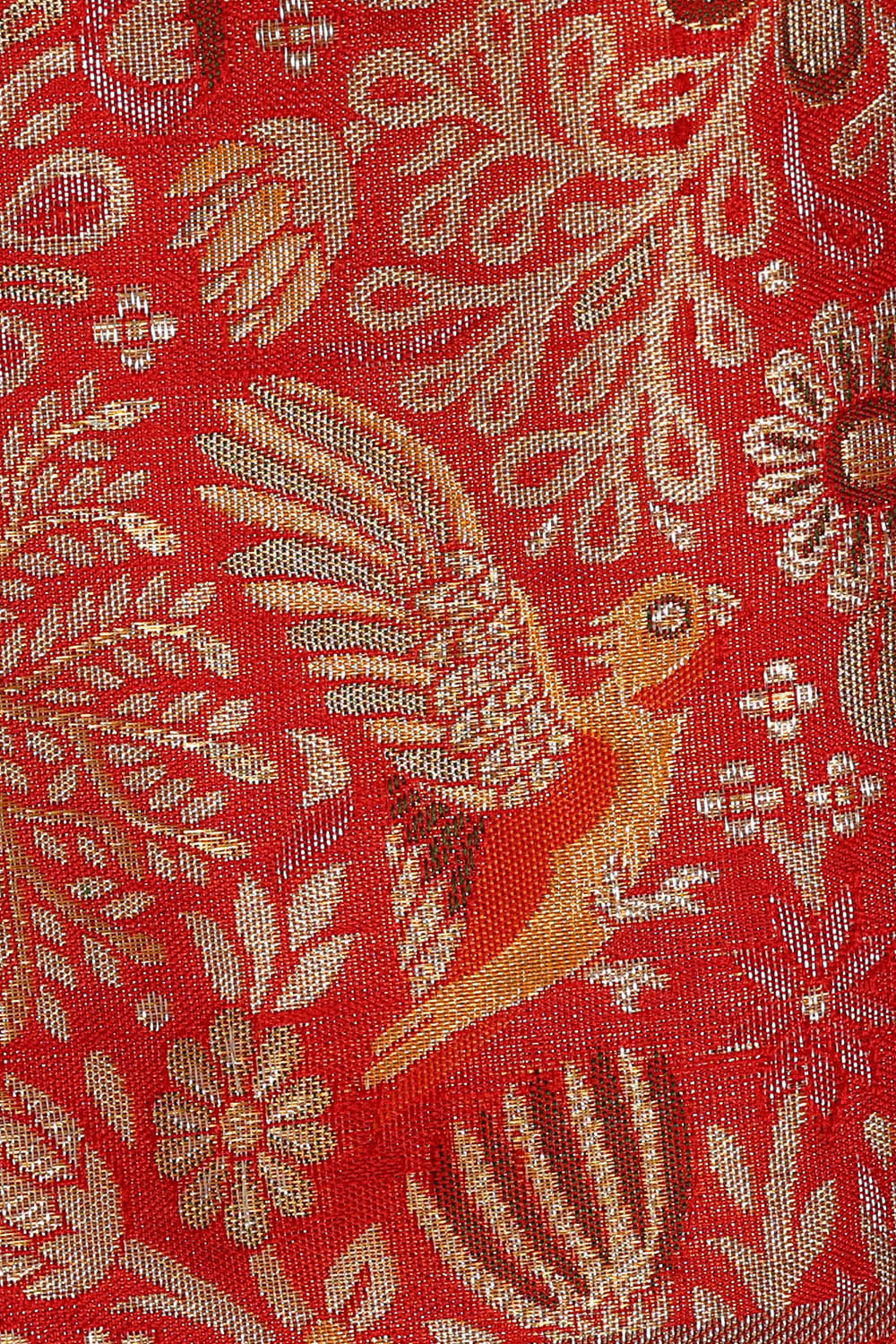 Image of Kanchipattu Red Brocade Saree