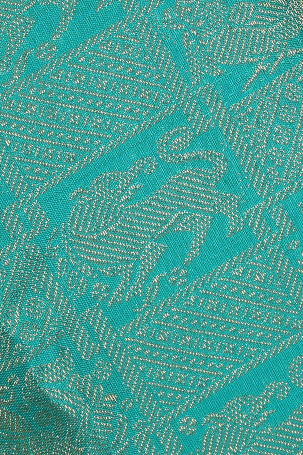 Image of Kanchipattu Sky Blue Brocade Saree