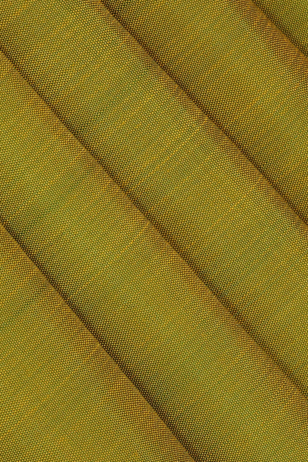 Arani Silk Parrot Green Saree