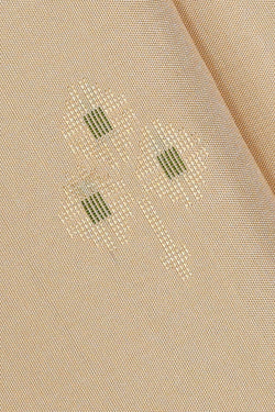 Image of Cream Silk Saree