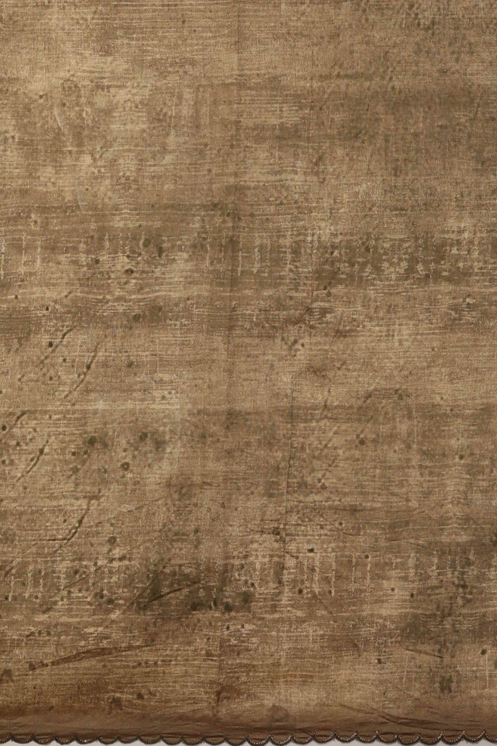 Image of Printed Banarasi Organza Sky Blue Saree