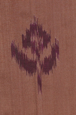 Image of Ikat Creamy Brown Saree