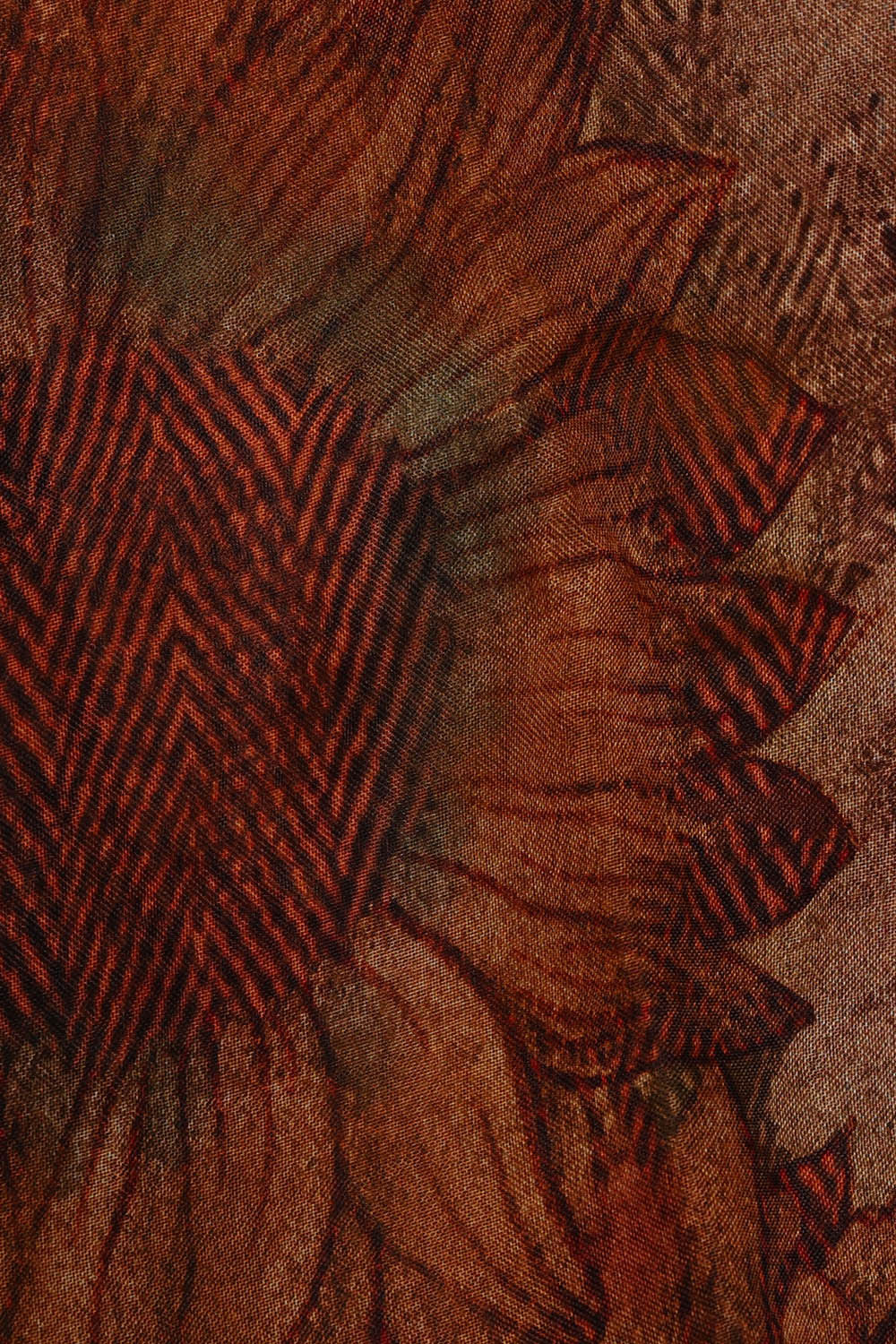 Image of Printed Banarasi Organza Brown Saree