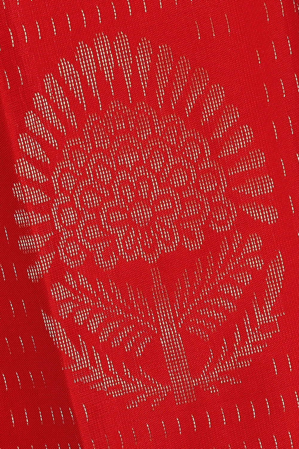 Image of Kanchipattu Red Brocade Saree
