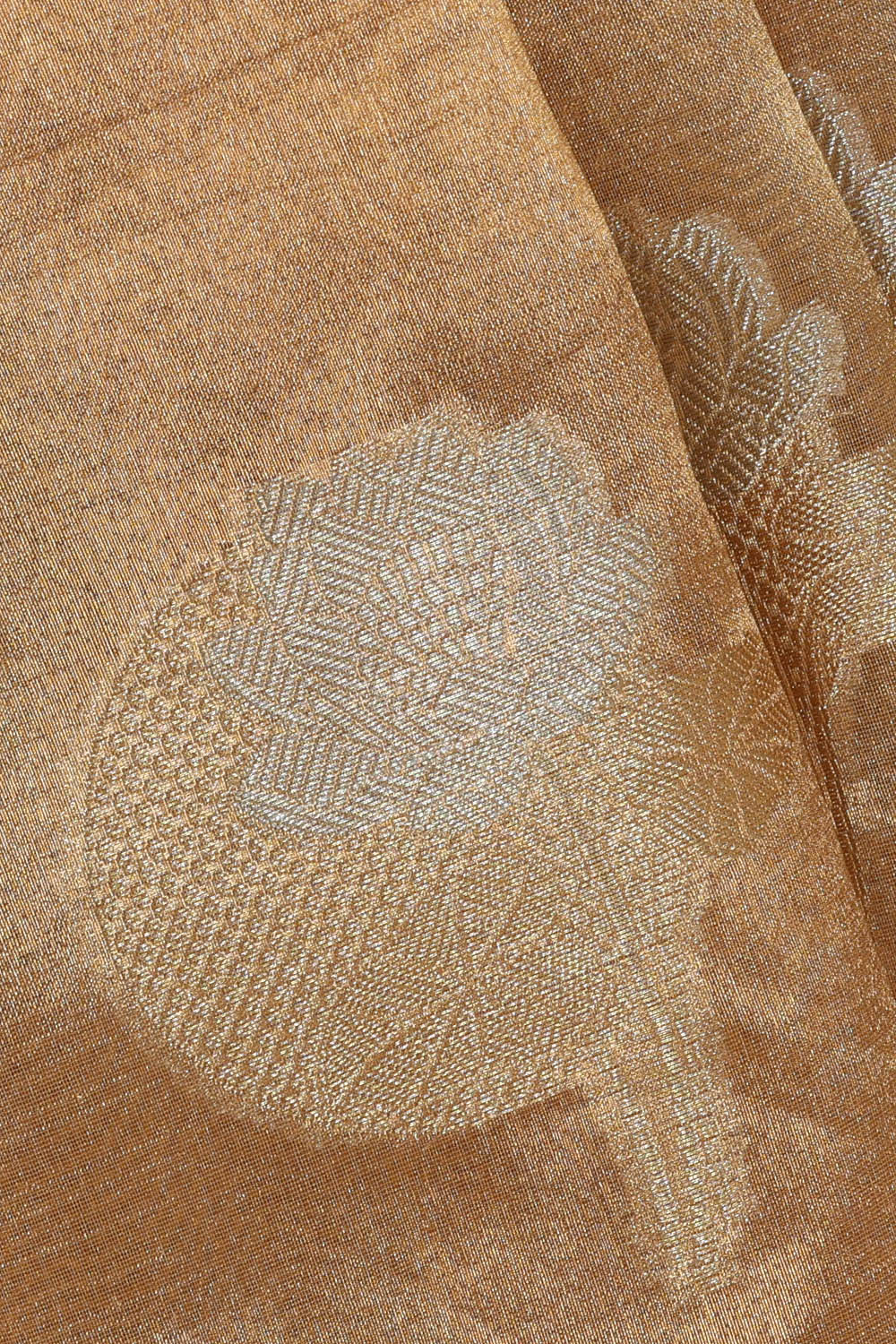 Image of Tissue Gold-Beige Saree