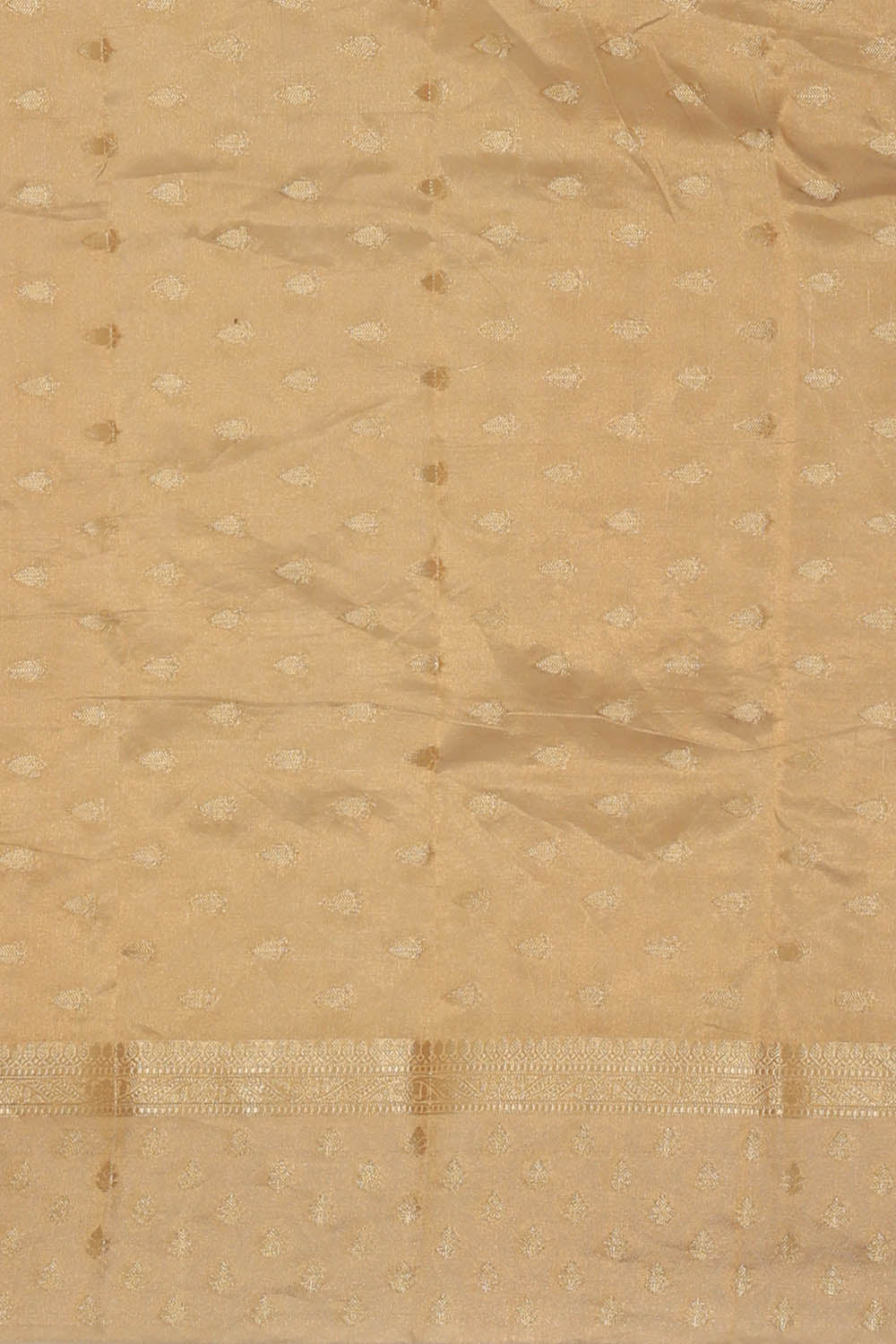 Image of Tissue Gold-Beige Saree