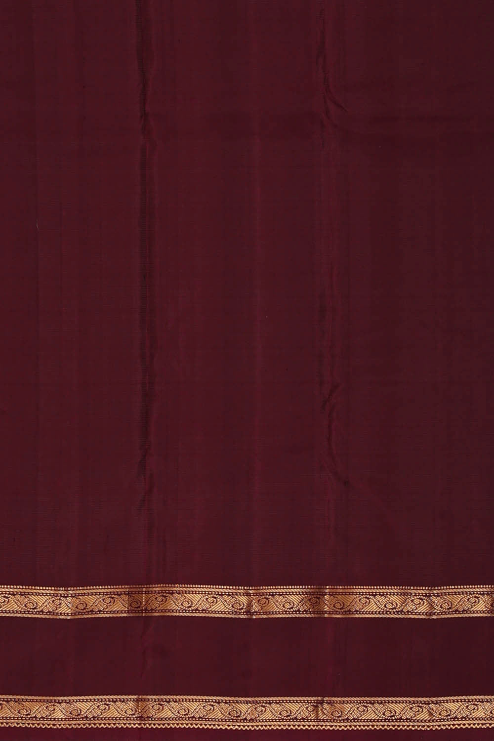 Image of Kanchipattu Sky Blue Brocade Saree