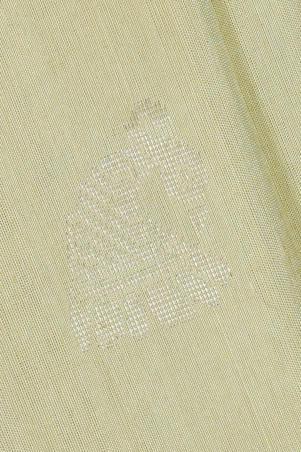 Image of Uppada Silk Light Pastel Green Saree