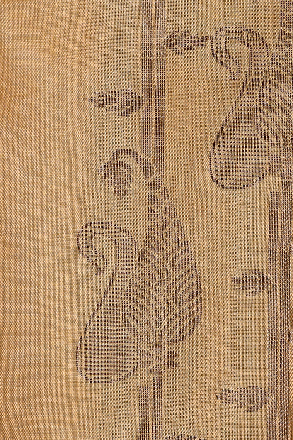 Kanchipattu Beige Brocade Saree