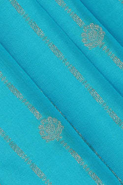 Image of Kanchipattu Sky Blue Brocade Saree
