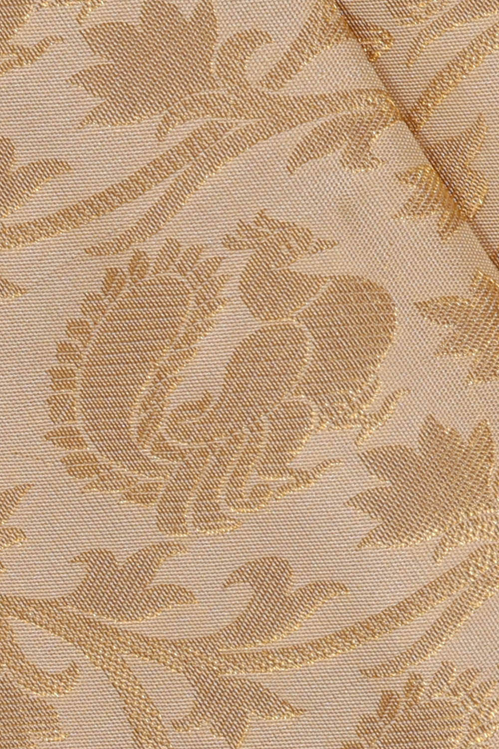 Kanchipattu Cream Brocade Saree