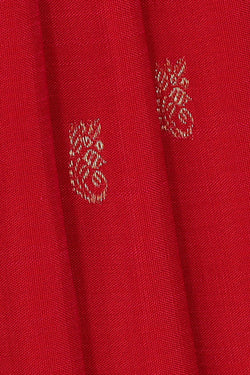 Image of Kanchipattu Red Brocade Saree