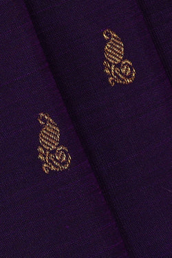 Image of Kanchipattu Violet Brocade Saree