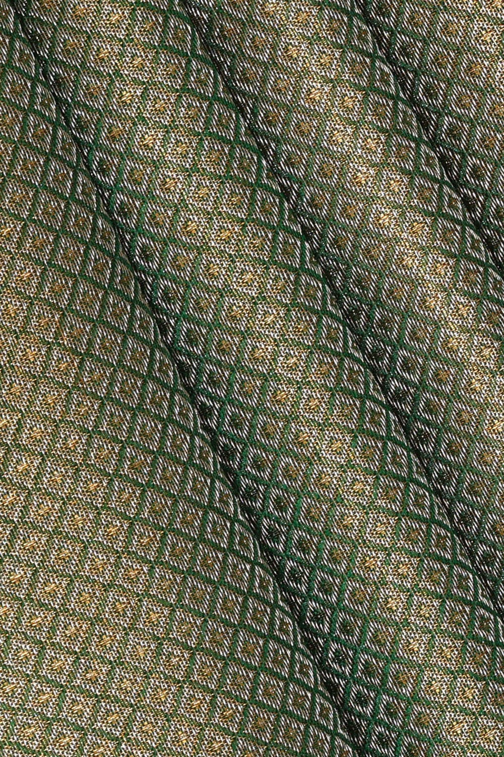 Image of Kanchipattu Green Tissue Brocade Saree